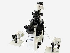 도립형광현미경